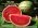 MÁCH NHỎ: 4 loại trái cây cực tốt cho bệnh thủy đậu
