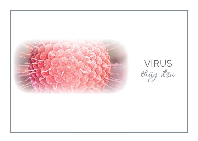 Hình ảnh virus gây bệnh thủy đậu